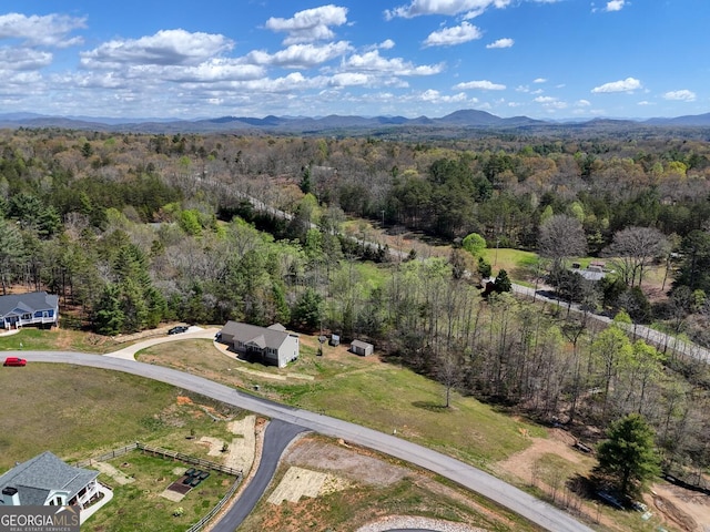 birds eye view of property featuring a mountain view