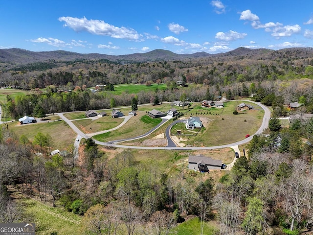 aerial view with a mountain view