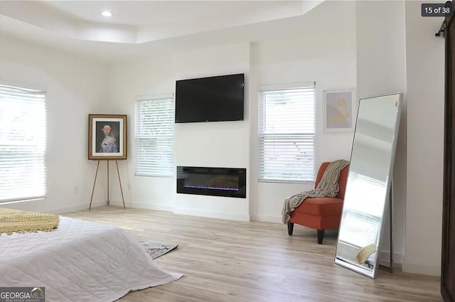 bedroom featuring light hardwood / wood-style floors and a tray ceiling