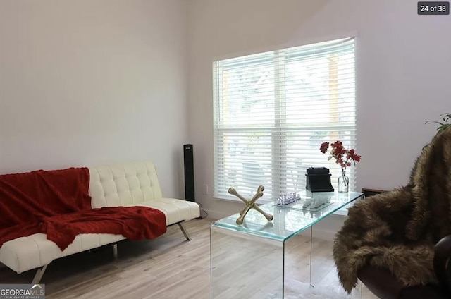 living area featuring hardwood / wood-style floors and a healthy amount of sunlight