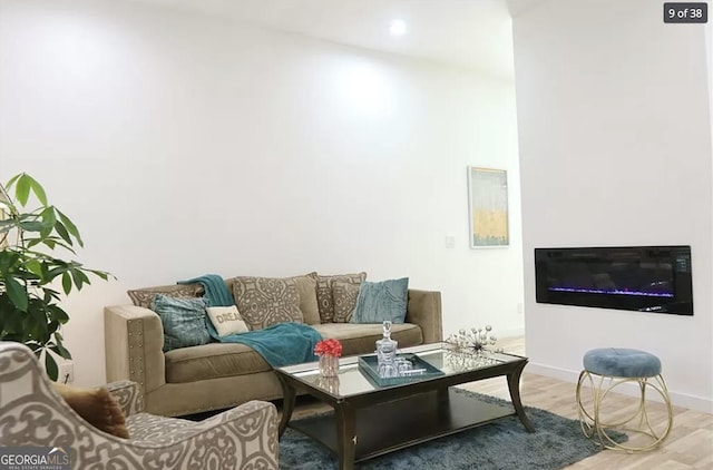 living room featuring hardwood / wood-style flooring