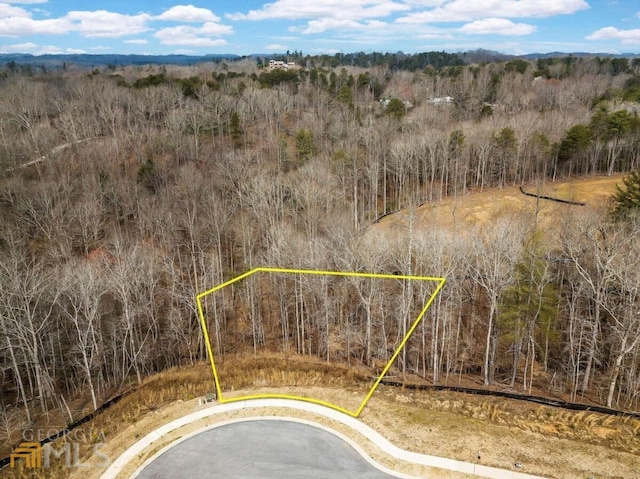 7070 Hammock Trl, Gainesville GA, 30506 land for sale