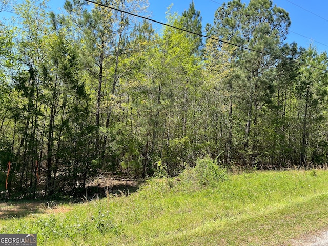 Listing photo 3 for LOT36 Omaha Dr, Elberton GA 30635