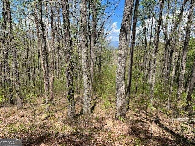 LOT86 Rocky Knob Est, Young Harris GA, 30582 land for sale