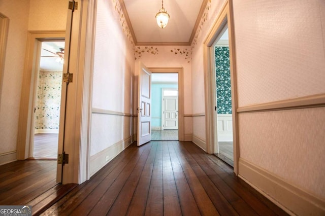 hallway featuring dark hardwood / wood-style flooring and ornamental molding