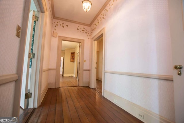 hallway with wood-type flooring and crown molding