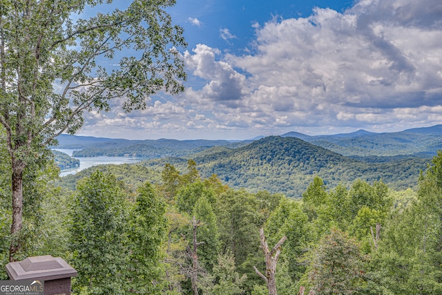 view of mountain feature featuring a water view