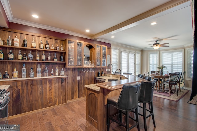 bar with ceiling fan, dark wood-type flooring, and ornamental molding