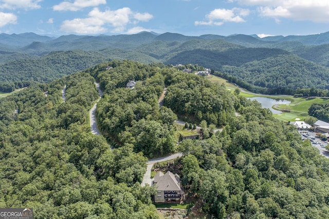 birds eye view of property featuring a mountain view