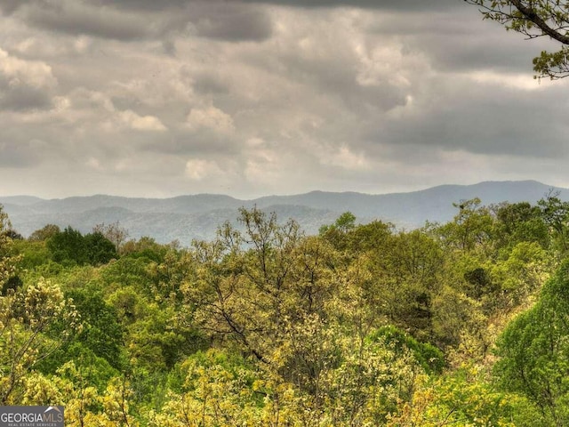 view of mountain feature