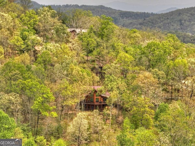 exterior space featuring a mountain view