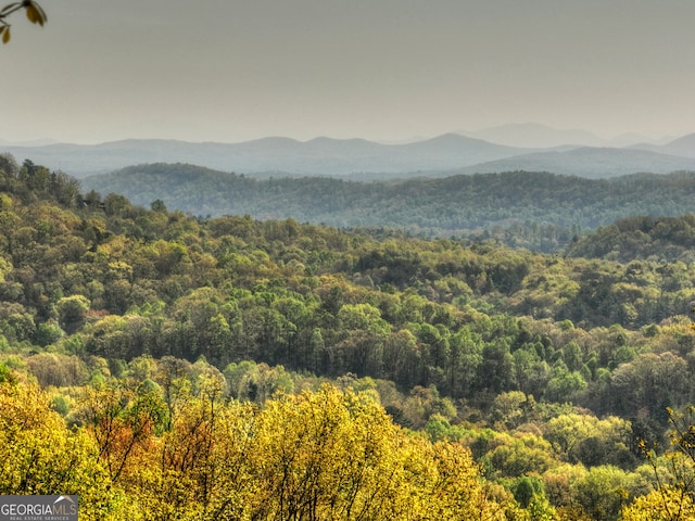 view of mountain view