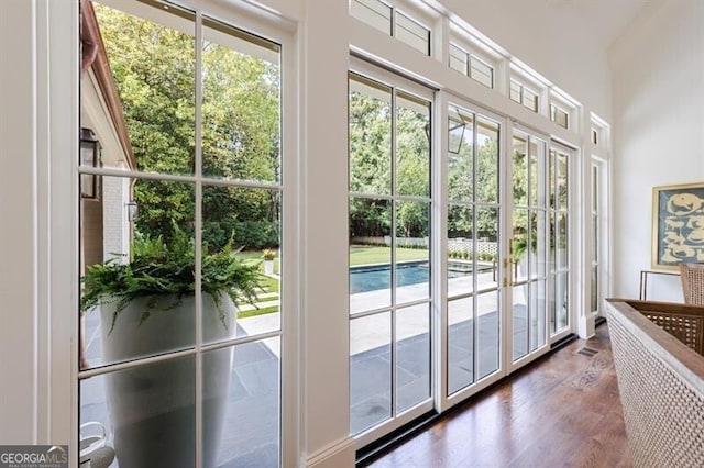 doorway featuring dark hardwood / wood-style floors