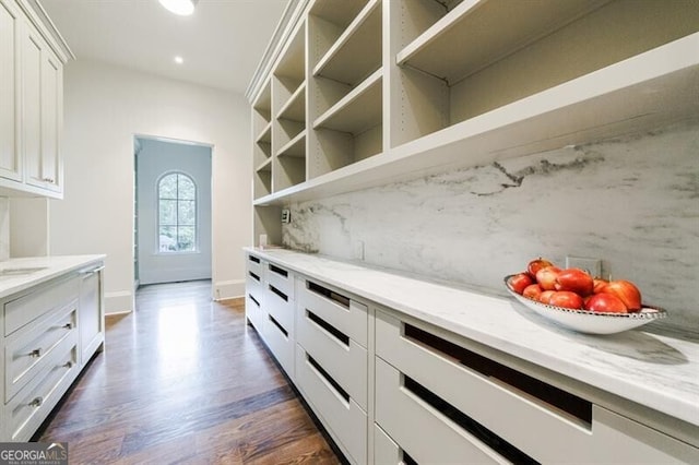 walk in closet featuring wood-type flooring