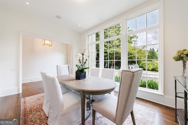 dining space with dark hardwood / wood-style floors