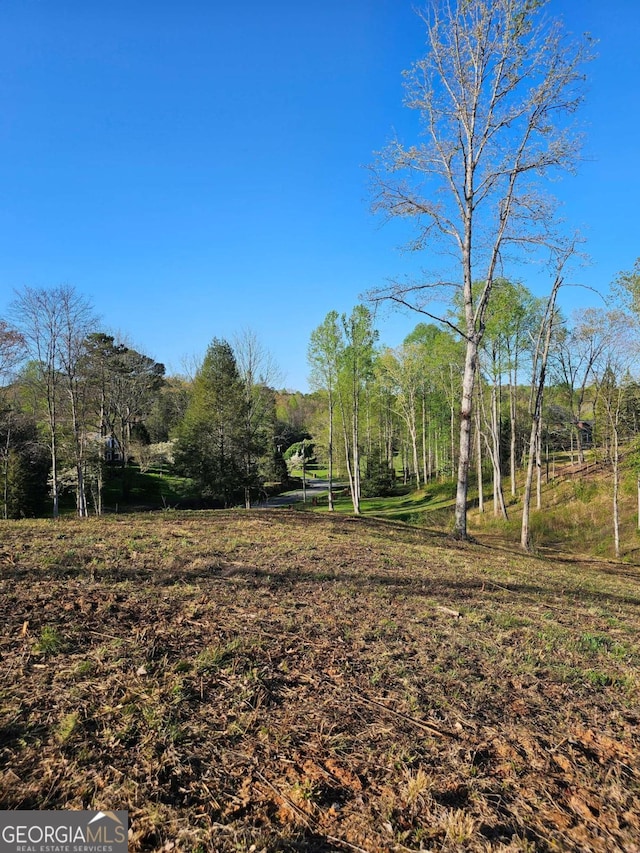 0 Cascade Lane 20 & 21, Ellijay GA, 30540 land for sale