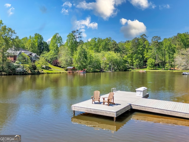 dock area with a water view