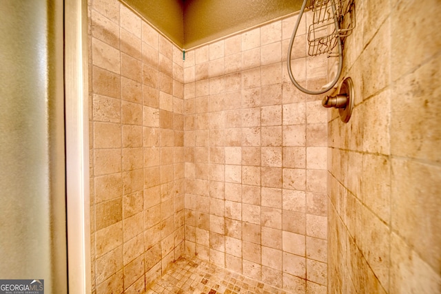 interior details with tiled shower