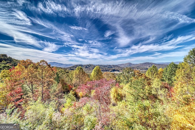 view of mountain view