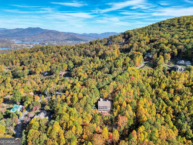 birds eye view of property with a mountain view