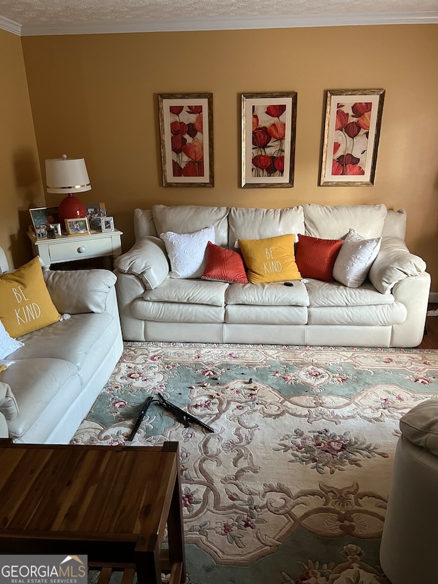 living room featuring crown molding and a textured ceiling