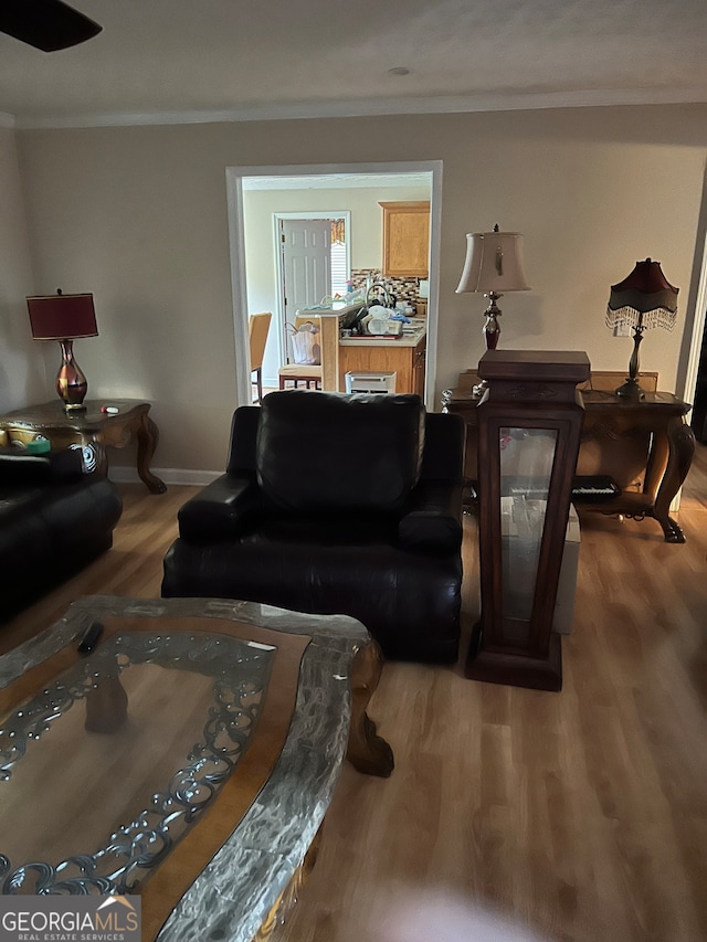 living room with wood-type flooring and ornamental molding