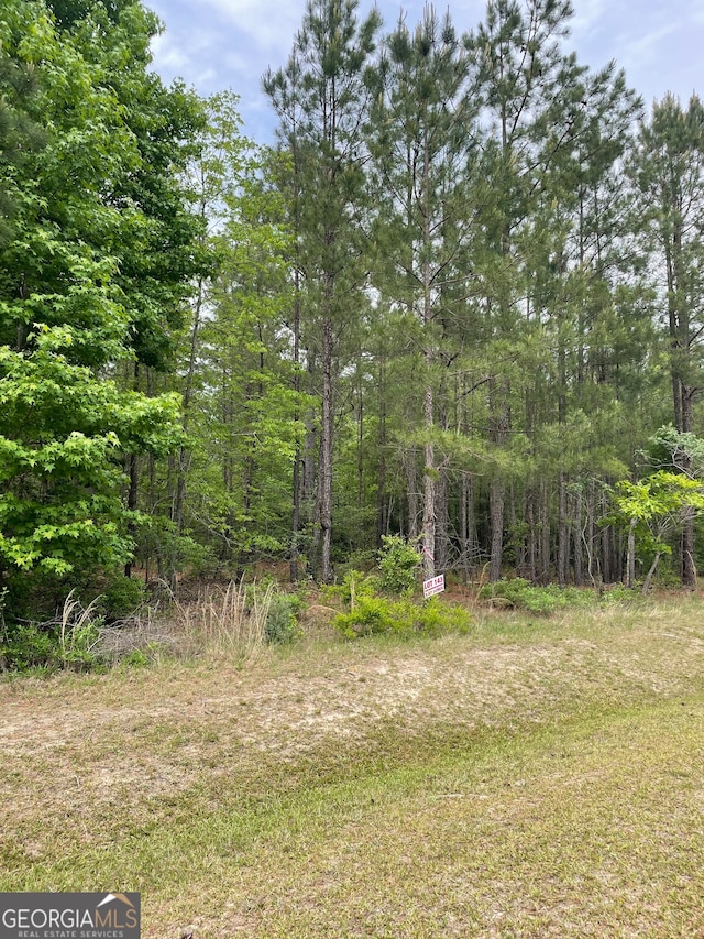 Listing photo 2 for 0 Grey Wolf Trl Lot 143, Dublin GA 31021