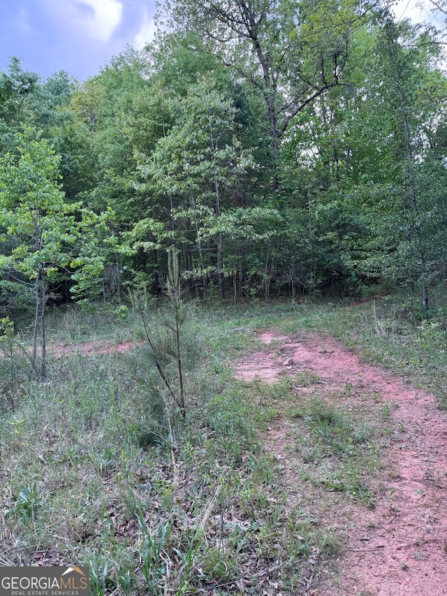 668 Brookdale Rd, Toccoa GA, 30577 land for sale