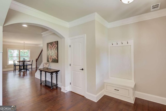 mudroom featuring dark wood-type flooring and ornamental molding