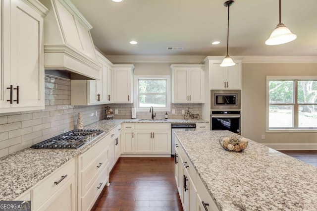 kitchen with stainless steel appliances, tasteful backsplash, sink, dark hardwood / wood-style flooring, and custom exhaust hood