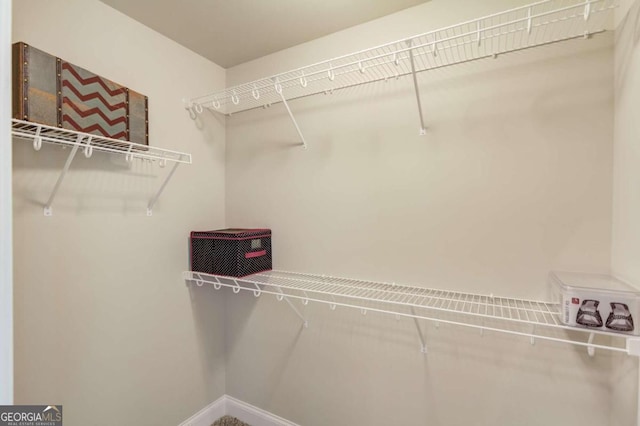 view of spacious closet