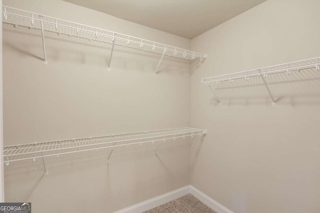 spacious closet with carpet floors