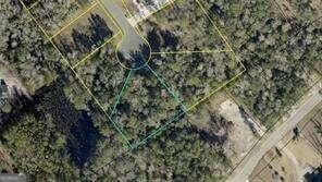 175 Marsh Oaks Dr, Waverly GA, 31565 land for sale