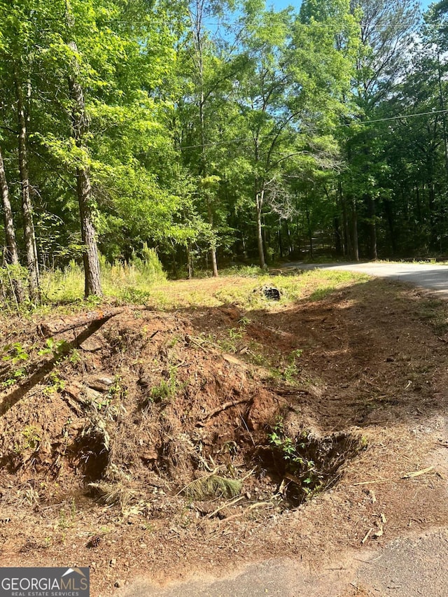 LOT16 Pickett Bridge Rd, Covington GA, 30016 land for sale