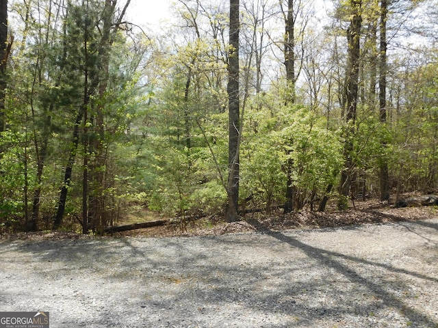 00 Dallas Ln, Blue Ridge GA, 30513 land for sale