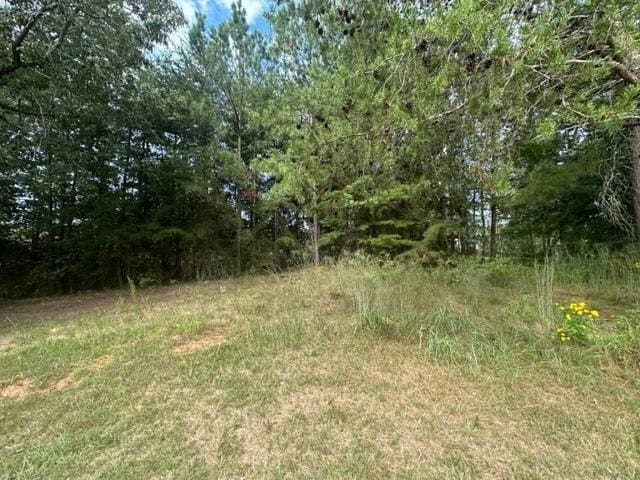 101 Cottage Ln, Toccoa, GA 30577
