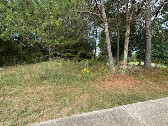 101 Cottage Ln, Toccoa, GA 30577