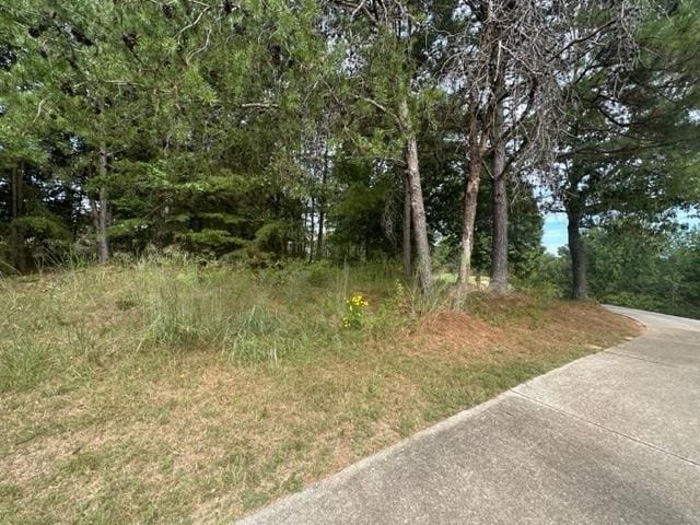 101 Cottage Ln, Toccoa, GA 30577