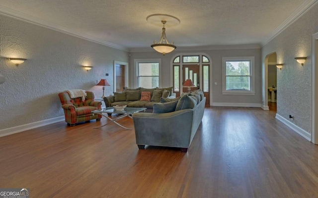 living room featuring a healthy amount of sunlight, dark hardwood / wood-style floors, and a textured ceiling