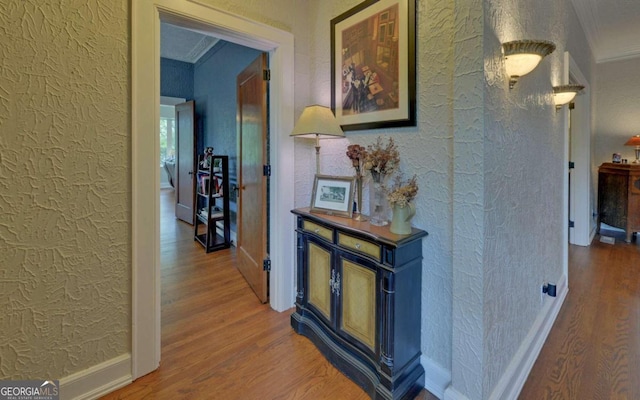 hallway featuring hardwood / wood-style flooring and ornamental molding