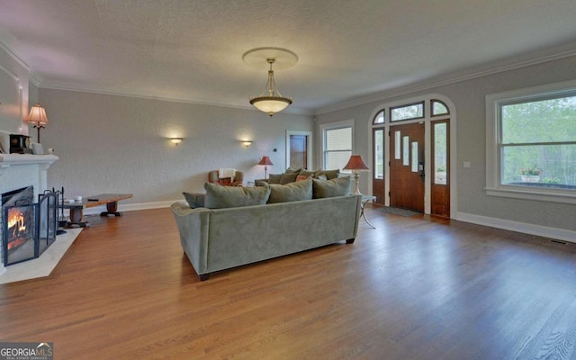 living room featuring ornamental molding, wood-type flooring, and a textured ceiling