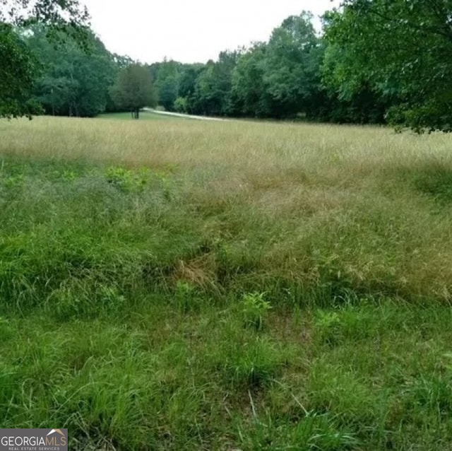 view of local wilderness with a rural view