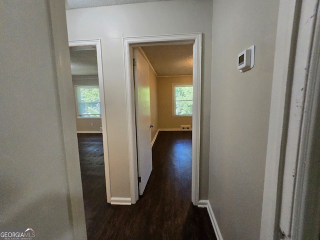 hall with a wealth of natural light and dark hardwood / wood-style flooring