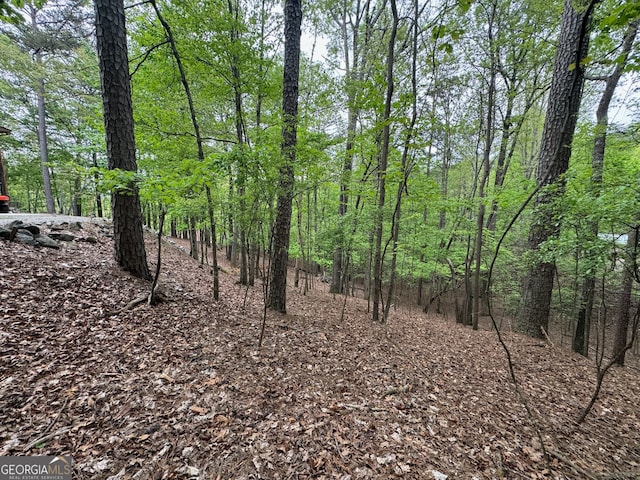 Listing photo 2 for LOT1833 Newport Dr, Ellijay GA 30540