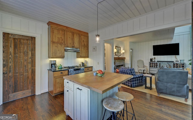 kitchen with pendant lighting, a center island, high end stove, a kitchen breakfast bar, and a stone fireplace