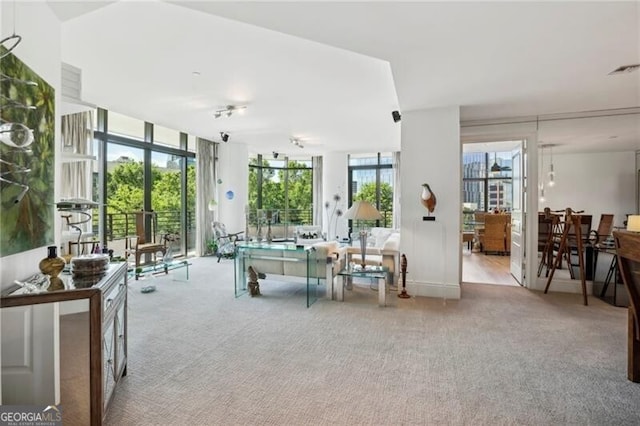 game room with light colored carpet and plenty of natural light