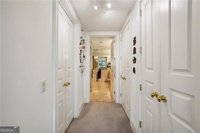 hallway featuring carpet floors