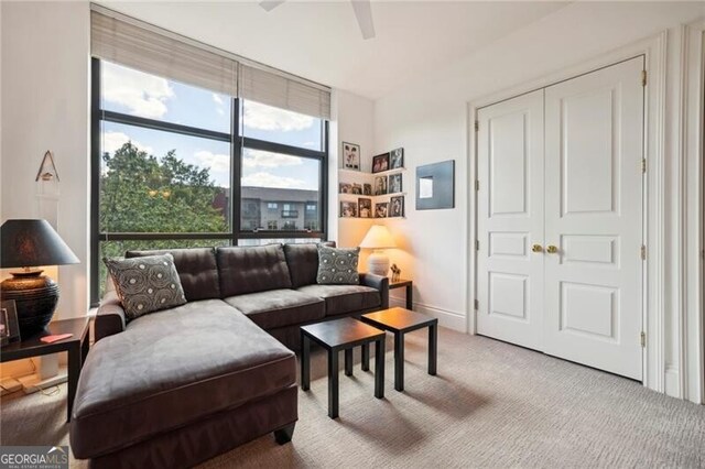 living room featuring carpet flooring