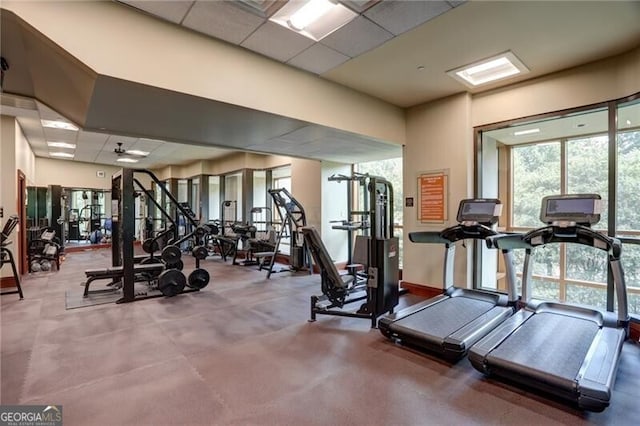 workout area featuring a drop ceiling and carpet flooring