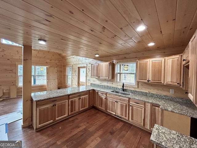 kitchen with wood walls, dark hardwood / wood-style floors, and sink